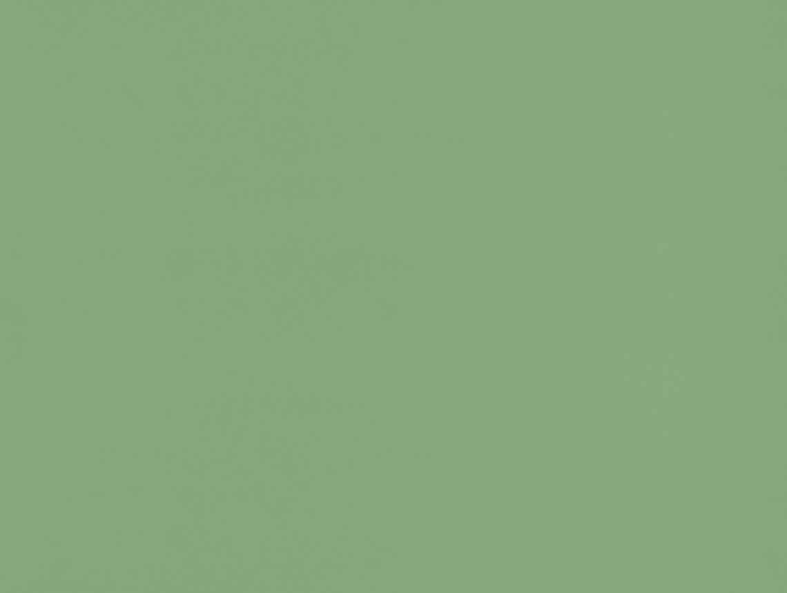 Taralay Impression Compact - 1080 Uni Matt Green
